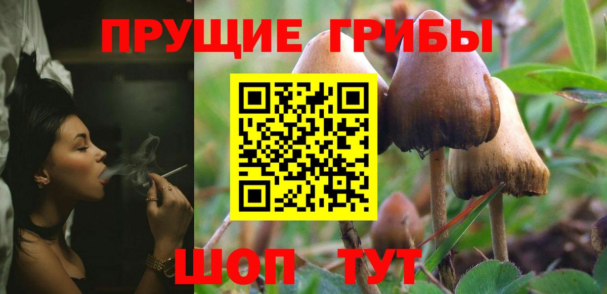 Псилоцибиновые грибы MAGIC MUSHROOMS  Вход с VPN  Мыски 