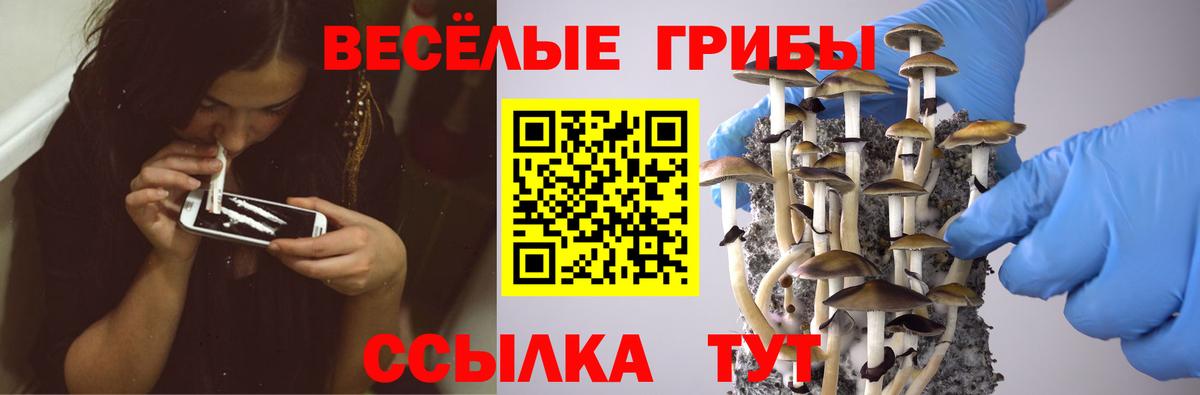 Псилоцибиновые грибы Psilocybine cubensis Мыски